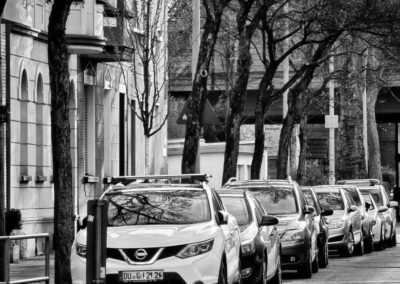 Baumgesäumte Straße